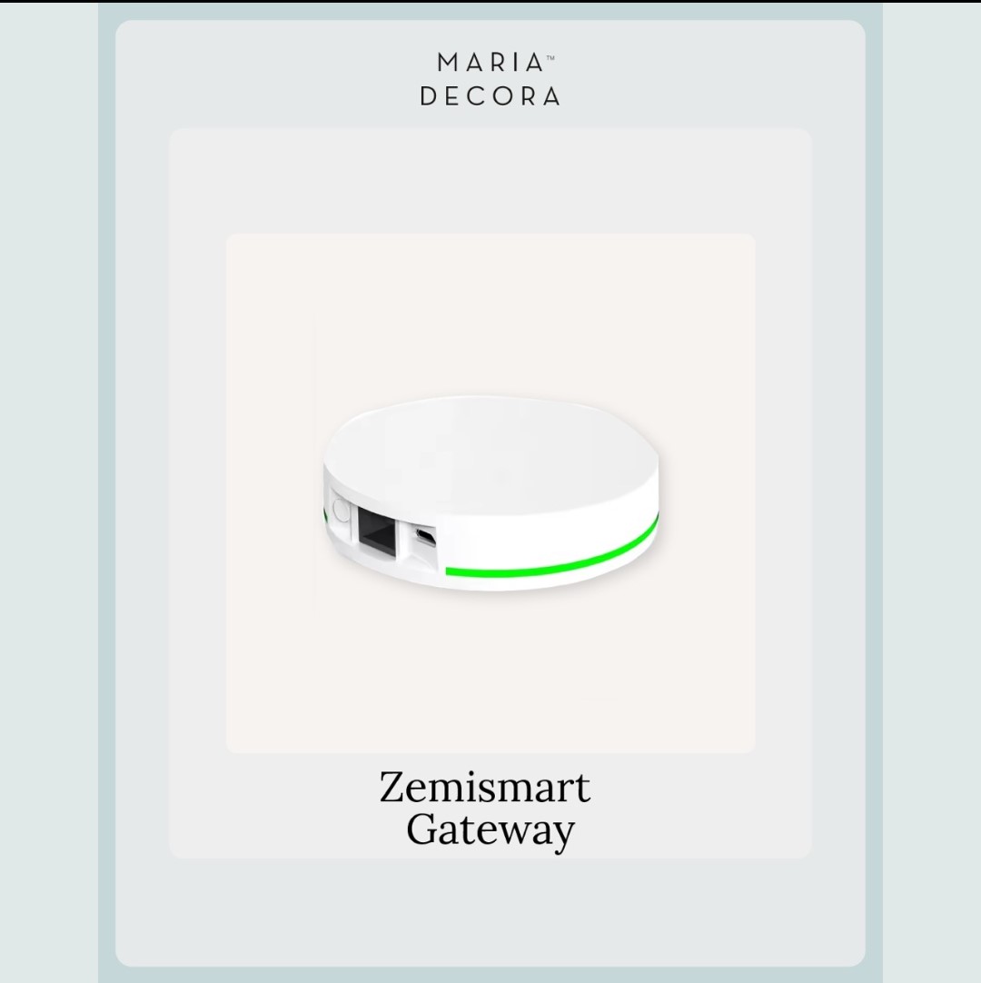 Zemismart Gateway